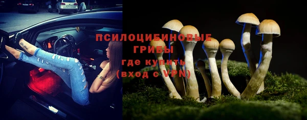 гидра Лиски
