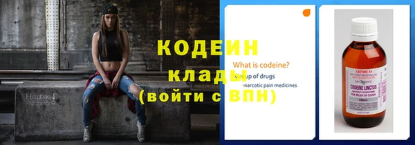 винт Анива