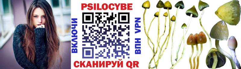 Псилоцибиновые грибы Psilocybe  дарнет шоп  Оренбург 