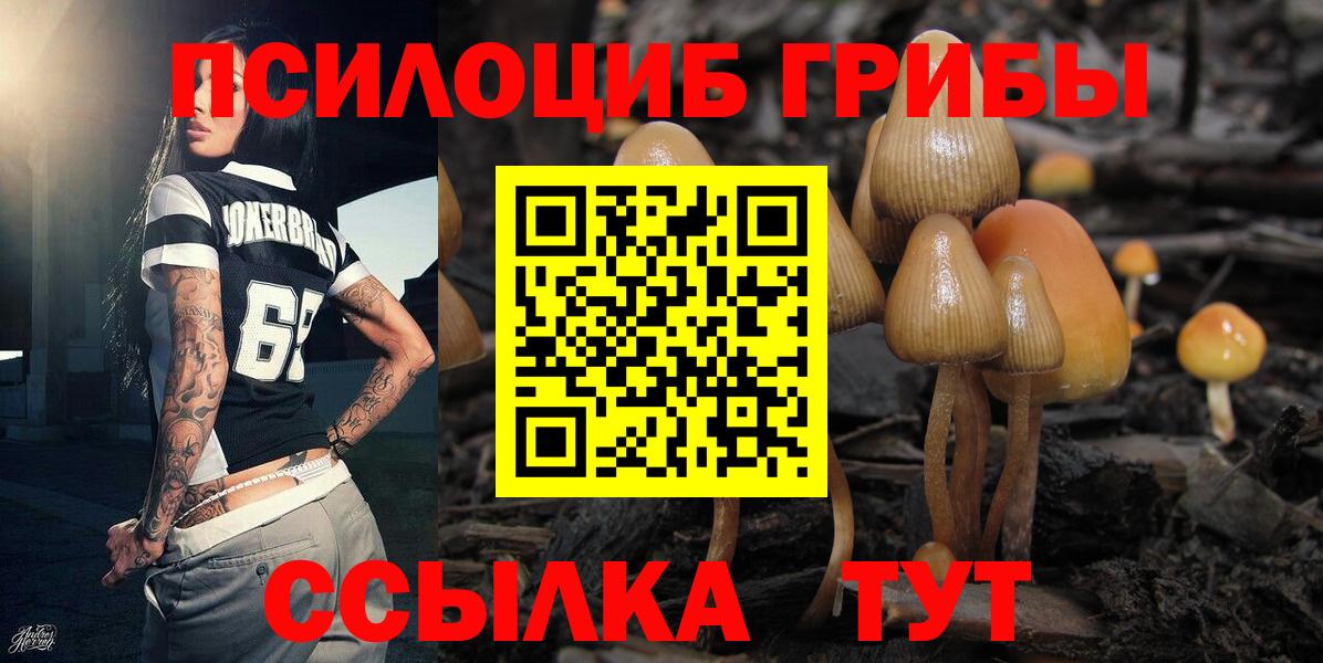 цена наркотик  Вход с VPN  Оренбург  Псилоцибиновые грибы Cubensis 