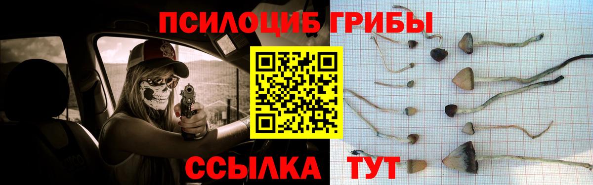 Галлюциногенные грибы GOLDEN TEACHER Оренбург